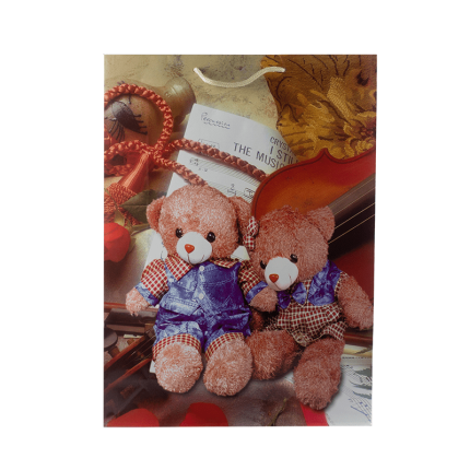 Funda de regalo de osito