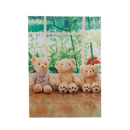 Funda de regalo de ositos