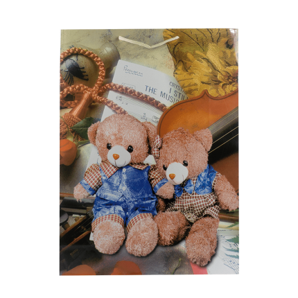 Funda de regalo de ositos