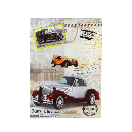 Funda de regalo con diseño de carros