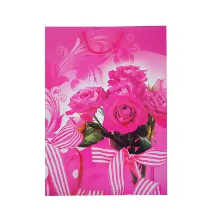 Funda de regalo gigante