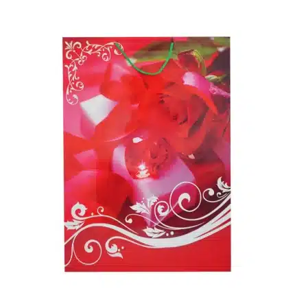 Funda de regalo gigante