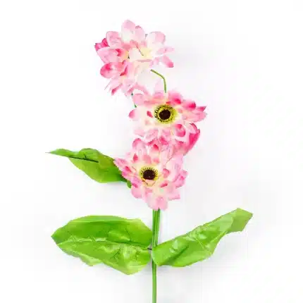 Ramo Largo de Gerbera