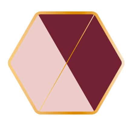 Platos Hexagonales Rosa y Vino de Cartón 9 Pulgadas 6 pcs