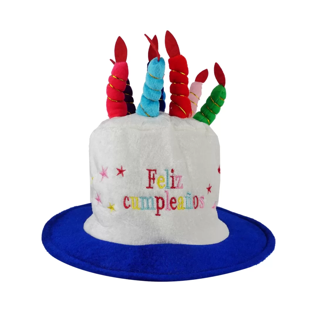 Gorro de cumpleaños con gafas de cumpleaños, gorro de feliz cumpleaños de  felpa con velas multicolores, sombreros de fiesta, accesorios para fotos de  cumpleaños Sincero Hogar