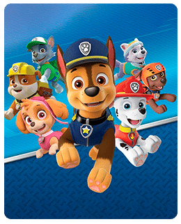 Tematica paw patrol