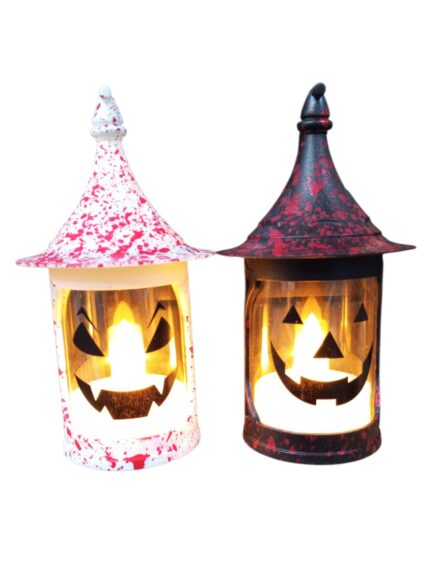 WhatsApp Image 2025 10 14 at 1.00.01 PM